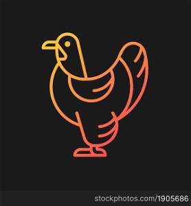 Brahma hen gradient vector icon for dark theme. American chicken breed. Poultry farming. Feathered shanks, toes. Thin line color symbol. Modern style pictogram. Vector isolated outline drawing. Brahma hen gradient vector icon for dark theme