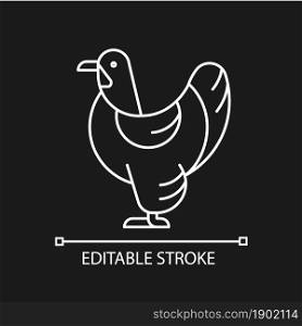 Brahma hen linear icon for dark theme. American chicken breed. Poultry farming. Feathered shanks. Thin line customizable illustration. Isolated vector contour symbol for night mode. Editable stroke. Brahma hen linear icon for dark theme