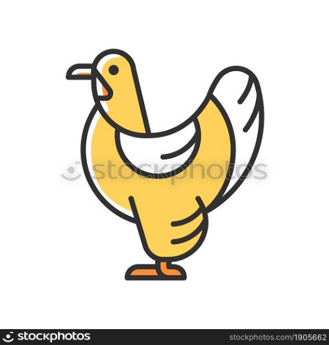 Brahma hen RGB color icon. American chicken breed. Poultry farming industry. Raising domestic bird for meat and eggs. Feathered shanks, toes. Isolated vector illustration. Simple filled line drawing. Brahma hen RGB color icon