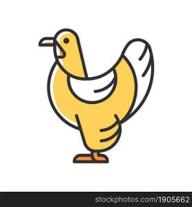 Brahma hen RGB color icon. American chicken breed. Poultry farming industry. Raising domestic bird for meat and eggs. Feathered shanks, toes. Isolated vector illustration. Simple filled line drawing. Brahma hen RGB color icon