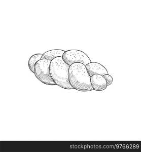 Braided bread isolated monochrome sketch. Vector bakery product of wheat dough, pastry food. Pastry food, braided bread isolated vector sketch