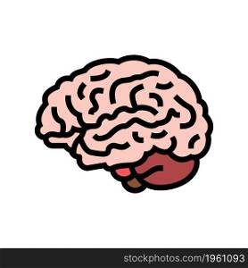 brain anatomy organ color icon vector. brain anatomy organ sign. isolated symbol illustration. brain anatomy organ color icon vector illustration