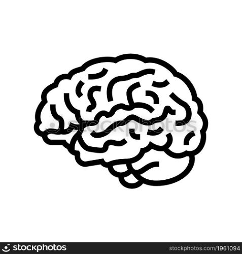 brain anatomy organ line icon vector. brain anatomy organ sign. isolated contour symbol black illustration. brain anatomy organ line icon vector illustration