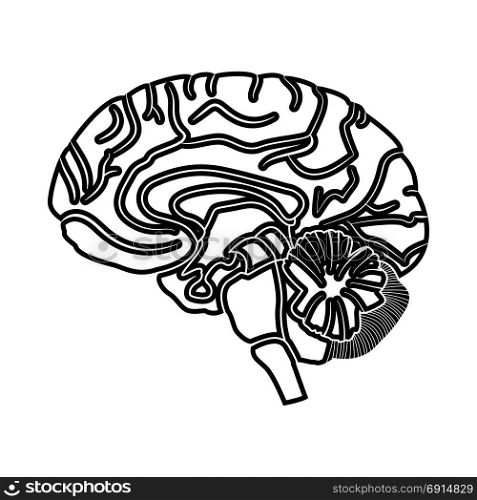 Brain black icon .
