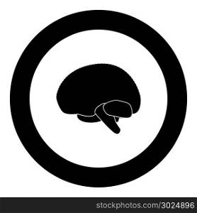 Brain icon black color in circle vector illustration isolated