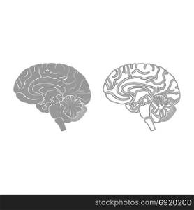 Brain icon. Grey set .. Brain icon. It is grey set .