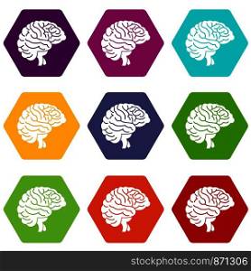 Brain icon set many color hexahedron isolated on white vector illustration. Brain icon set color hexahedron