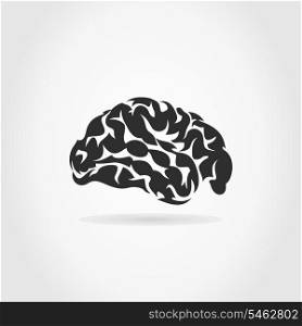 Brain on a grey background. A vector illustration