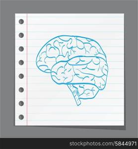 brain on paper