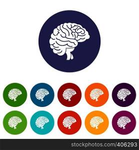 Brain set icons in different colors isolated on white background. Brain set icons