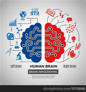 Brain silhouette infographic. Creative thinking learning processes in people brain vector picture business symbols. Brain infographic left and right halves illustration. Brain silhouette infographic. Creative thinking learning processes in people brain vector picture business symbols