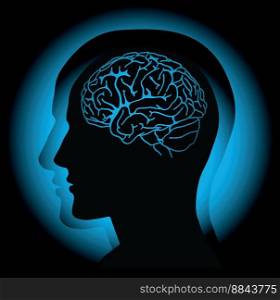 Brain vector image-Brain ,Head ,Anatomy ,X