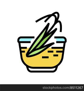 bran oil rice color icon vector. bran oil rice sign. isolated symbol illustration. bran oil rice color icon vector illustration