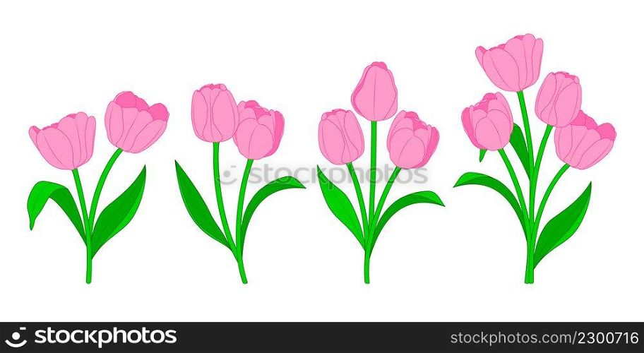Brance of pink tulips and green leaves. Spring bouquet. Floral vector illustration.