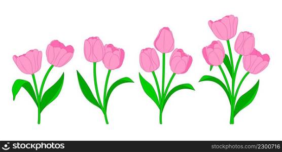 Brance of pink tulips and green leaves. Spring bouquet. Floral vector illustration.