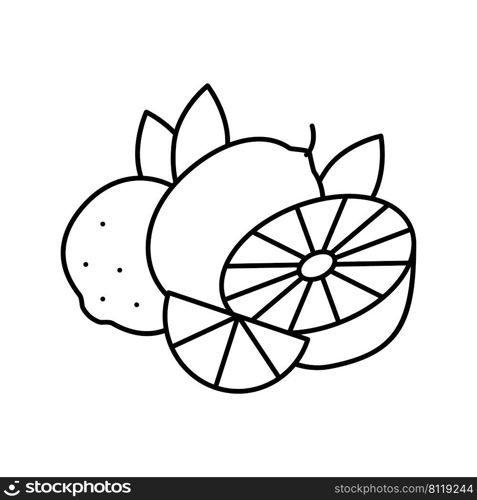 branch lemon and lime line icon vector. branch lemon and lime sign. isolated contour symbol black illustration. branch lemon and lime line icon vector illustration