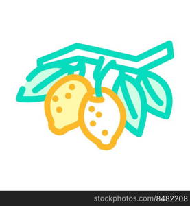 branch lemon plant color icon vector. branch lemon plant sign. isolated symbol illustration. branch lemon plant color icon vector illustration