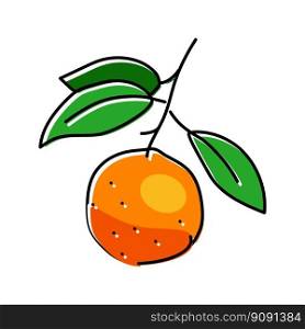 branch mandarin leaf color icon vector. branch mandarin leaf sign. isolated symbol illustration. branch mandarin leaf color icon vector illustration