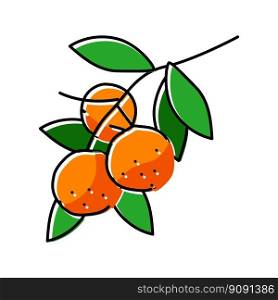 branch mandarin orange color icon vector. branch mandarin orange sign. isolated symbol illustration. branch mandarin orange color icon vector illustration