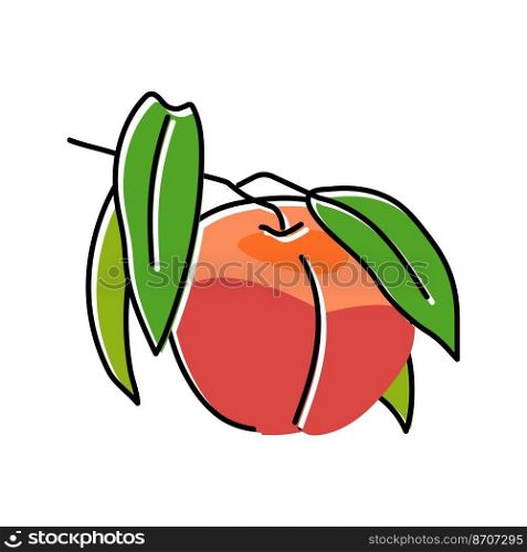 branch nectarine fresh color icon vector. branch nectarine fresh sign. isolated symbol illustration. branch nectarine fresh color icon vector illustration