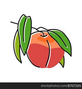 branch nectarine fresh color icon vector. branch nectarine fresh sign. isolated symbol illustration. branch nectarine fresh color icon vector illustration