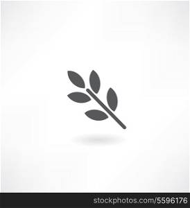 Branch of a plant with green leaves isolated on white background. Vector illustration for design