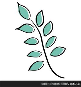 Branch of a plant with leaves. Vector drawing in sketch style.. Branch of a plant with leaves. Vector drawing in sketch style