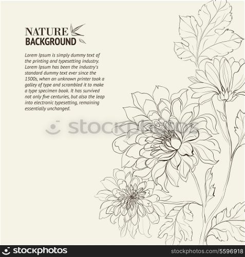 Branch of Chrysanthemum over gray background. Vector illustration.