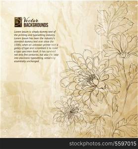 Branch of Chrysanthemum over paper background. Vector illustration.