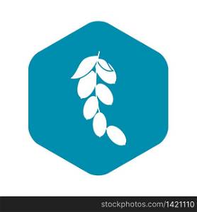 Branch of cornel or dogwood berries icon. Simple illustration of branch of cornel or dogwood berries vector icon for web. Branch of cornel or dogwood berries icon