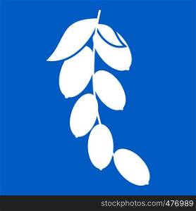 Branch of cornel or dogwood berries icon white isolated on blue background vector illustration. Branch of cornel or dogwood berries icon white