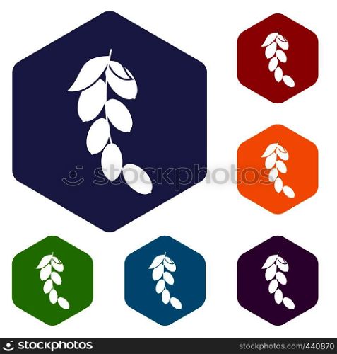 Branch of cornel or dogwood berries icons set hexagon isolated vector illustration. Branch of cornel or dogwood berries icons set