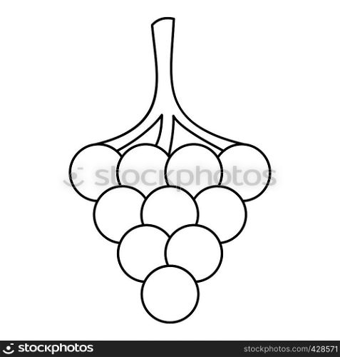 Branch of grape icon. Outline illustration of branch of grape vector icon for web. Branch of grape icon, outline style