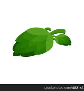 Branch of hops isometric 3d icon on a white background. Branch of hops isometric 3d icon
