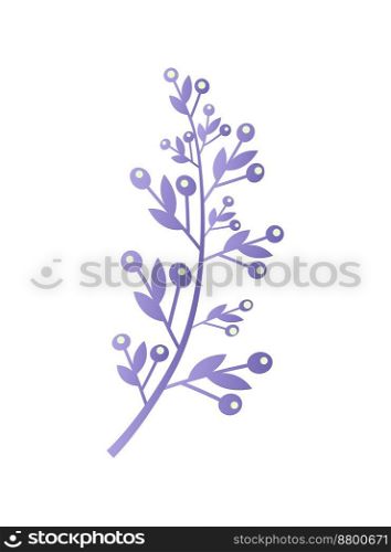 Branch of natural wild wolfberry with thin leaves vector image