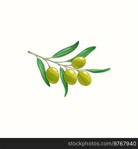 Branch of olives fruits and leaves isolated realistic icon. Vector twig with ripe berries, oil products. Greek and italian cuisine harvest, extra virgin oil or natural cosmetic symbols, organic food. Ripe berries of olives on twig with leaves vector