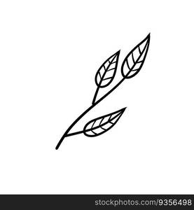 Branch of plant. Leaves in line style. Black and white natural illustration. Sketch Minimalism and simple flora.. Branch of plant. Leaves in line style.