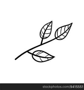 Branch of plant. Leaves in line style. Black and white natural illustration. Sketch Minimalism and simple flora.. Branch of plant. Leaves in line style.