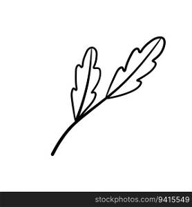 Branch of plant. Oak Leaves in line style. Black and white natural illustration. Minimalism and simple flora.. Branch of plant. Leaves in line style.