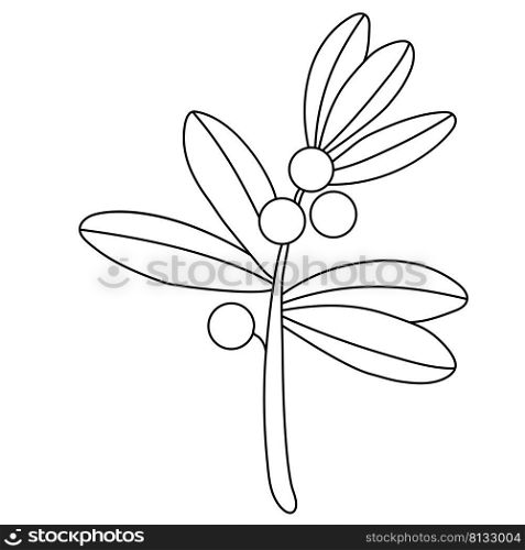 branch of plant with round berries and leaves. Vector illustration. outline. Linear drawing for design, decor, print, decoration