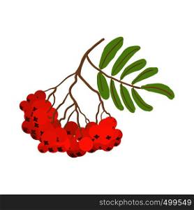 Branch of red rowan cartoon icon on the white background. Branch of red rowan cartoon icon