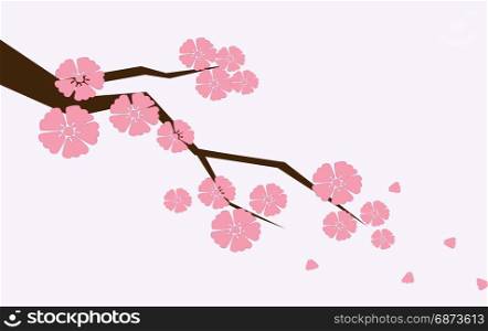 Branch of sakura with flowers. Cherry blossom branch with petals falling.. Branch of sakura with flowers. Cherry blossom branch with petals falling isolated on light-pink.
