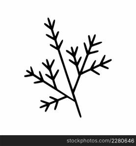Branch of spruce tree in style of doodle. Vector illustration by hand.