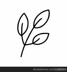 Branch of tree with leaves. Doodle style outline icon.