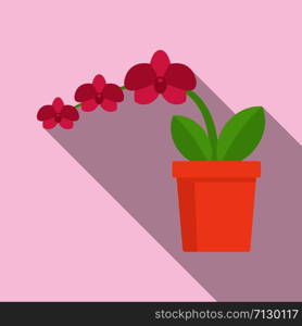 Branch orchid icon. Flat illustration of branch orchid vector icon for web design. Branch orchid icon, flat style