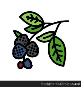 branch plant blackberry color icon vector. branch plant blackberry sign. isolated symbol illustration. branch plant blackberry color icon vector illustration