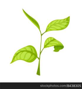 branch tea leaf cartoon. nature tree, healthy food drink, plantation branch tea leaf vector illustration. branch tea leaf cartoon vector illustration