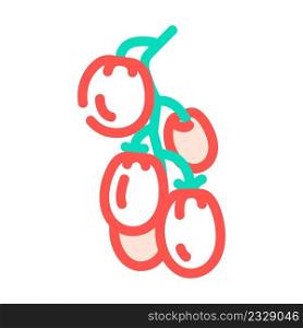 branch tomato color icon vector. branch tomato sign. isolated symbol illustration. branch tomato color icon vector illustration