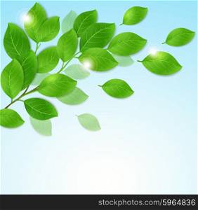Branch with green leaves on a blue background. Vector illustration.