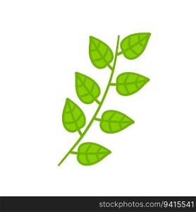Branch with green leaves. Plant and part of tree. Flat cartoon illustration isolated on white. Symbol of freshness. Branch with green leaves.